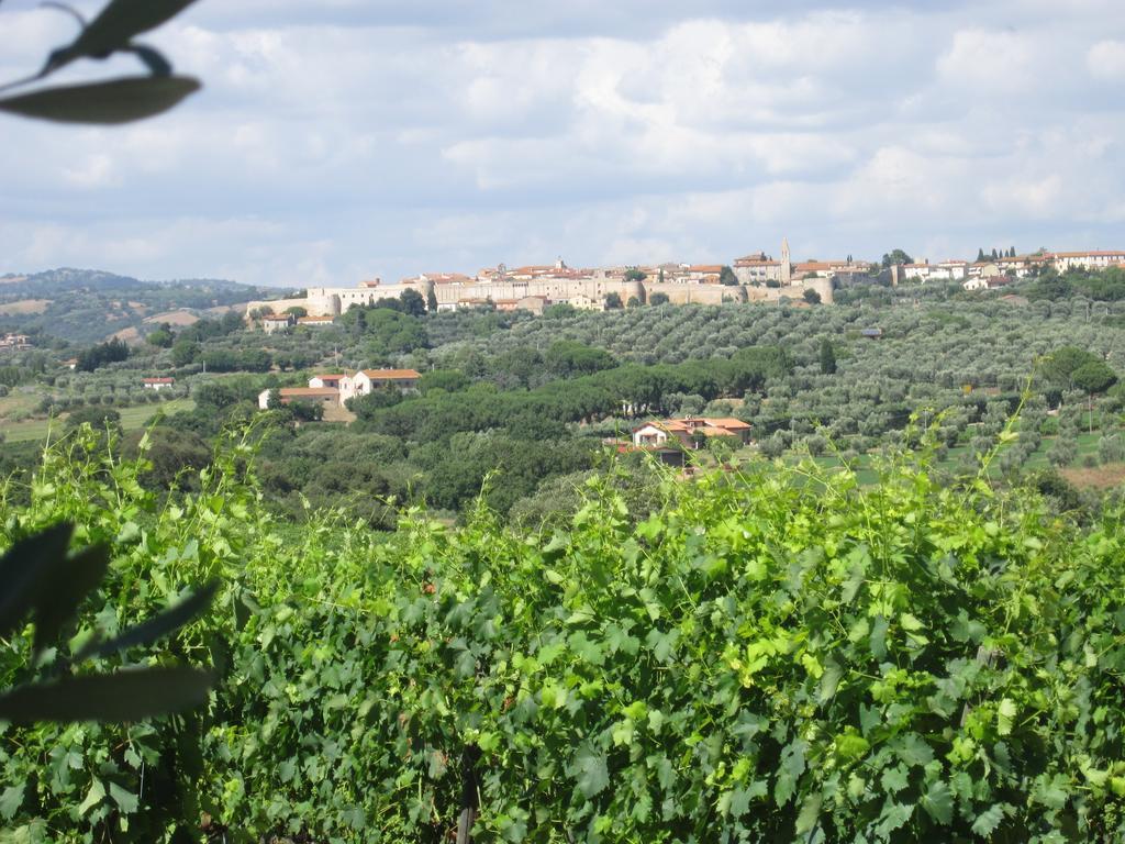 Agriturismo La Carlina Villa Magliano in Toscana Exterior photo