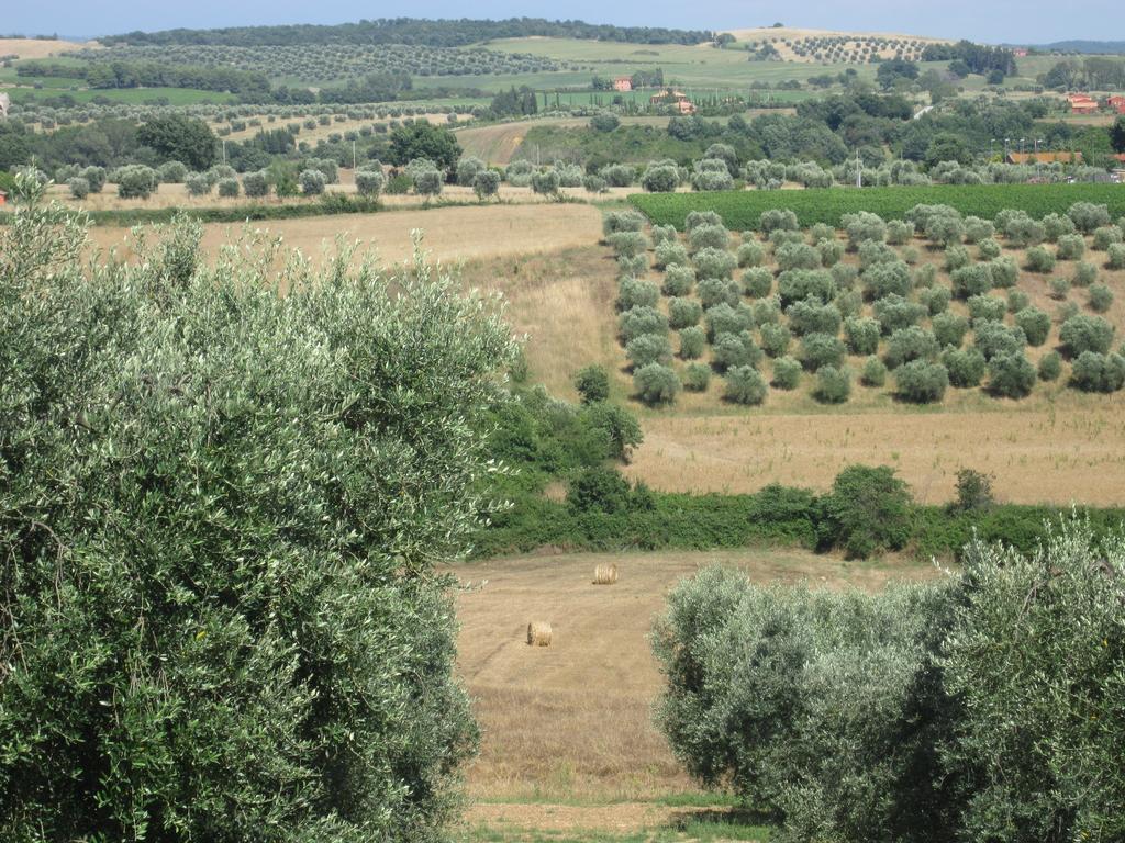 Agriturismo La Carlina Villa Magliano in Toscana Exterior photo